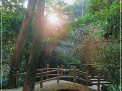 -火炉山森林公园