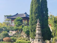 -徐州龟山景区