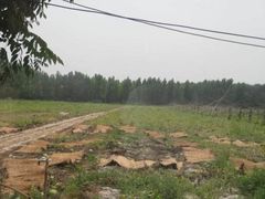 -汉长安城未央宫国家考古遗址公园