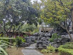 -顺峰山公园