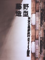 点击看大图 -藤野造型