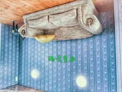 -金山农民画村-枫泾波兰倒置屋