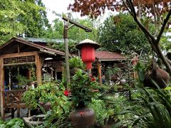 -青城甲(青城山店)