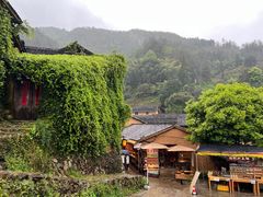 -杨家堂村