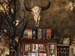 -雪灵魔法世界SHELLY’S TAROT(大良桂畔里店)