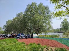-东郊湿地公园