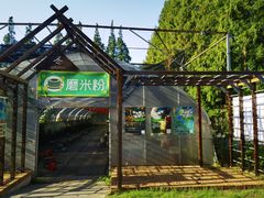-前小桔亲子创意农场·草莓采摘·露营烧烤