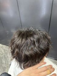 点击看大图 -藤野造型