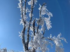 -中旅松花湖滑雪场