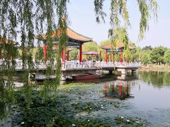 -长春市南湖公园