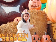 -郑州方特梦幻王国