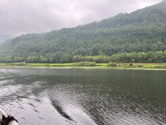 -腾冲北海湿地