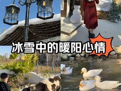 -HERRE·FARM 赫尔露营农场·团建聚会包场