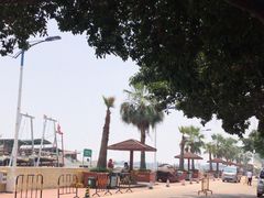 -大湾区中央湿地公园-十九涌