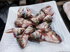 -章记正宗南岗鱼蛋火锅