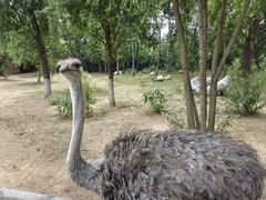 -大连森林动物园