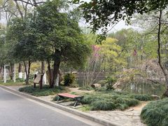 -灵谷景区