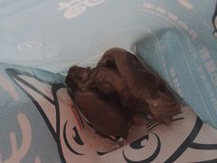 -开心猫无锡三阳广场店