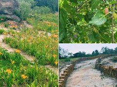 -白水寺森林公园