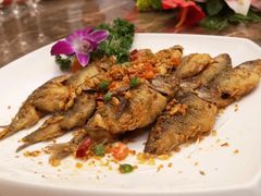香煎太阳鱼-迎喜海鲜酒楼(鹏森·海纳中心店)