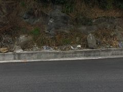 -大罗山风景区
