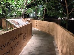 -香市公园-中国沉香文化博物馆