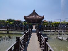 -呀路古热带植物园