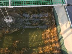 -苏州吴中太湖旅游区