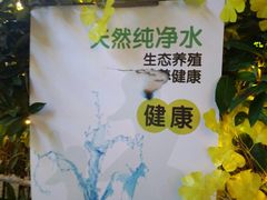 -蛙两只美蛙鱼头火锅(恒茂店)