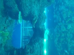 android_upload_pic-成都浩海立方海洋公园