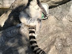 -常州淹城野生动物世界
