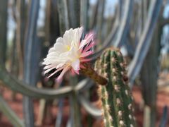 -南通洲际绿博园