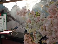 -丰收日(五角场店)
