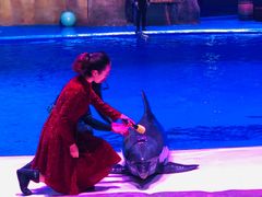 -华夏文旅海洋公园