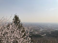 -北京西山国家森林公园