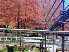 -神户市立六甲山牧场