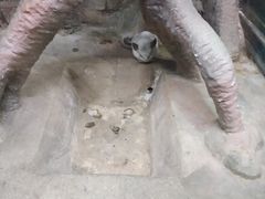 -福州罗源湾海洋世界旅游区