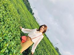-雪绿茶博物馆