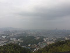 -茶颜悦色(岳麓山顶店)