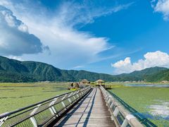-腾冲北海湿地