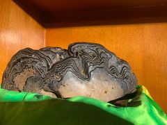 -吉祥圣雪藏餐