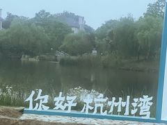 -杭州湾海上花田景区