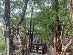 -丰都鬼城名山景区