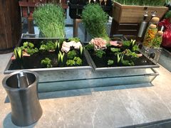 -圆顶阁西餐厅(郑州索菲特国际饭店 )