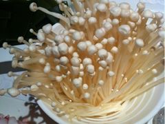 iphone_upload_pic-龙福成肥牛火锅(文昌店)