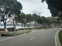 -暨阳湖生态园