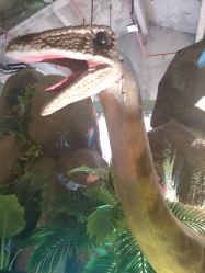 -恐龙探索乐园(磁器口店)