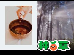 -芳香乐府SPA·五行芳疗