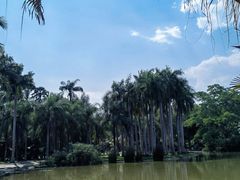 -中国科学院西双版纳热带植物园