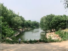 -北京张裕爱斐堡酒庄